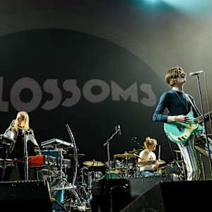 Blossoms Image