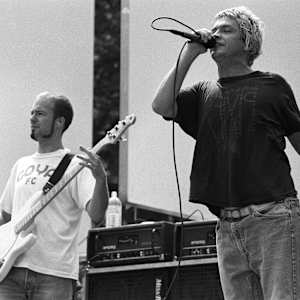 Tripping Daisy Image