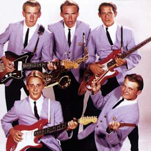 The Surfaris Image