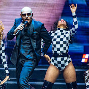 Pitbull Image