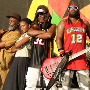 Steel Pulse Image