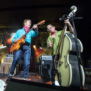 Stray Cats Image