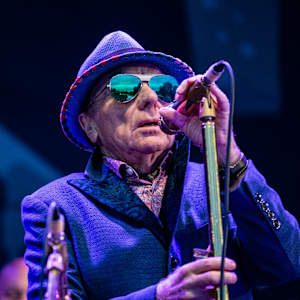 Van Morrison Image