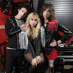 The Velveteers Image