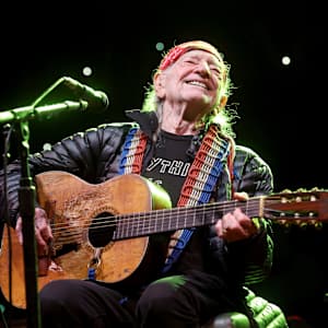Willie Nelson Parking Image