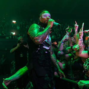 The Prodigy Image
