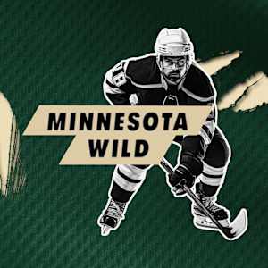 Minnesota Wild Image