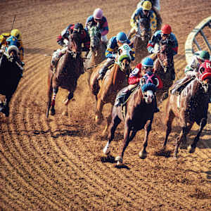 Belmont Stakes Image