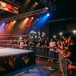 MicroMania Wrestling Image