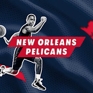 New Orleans Pelicans Image