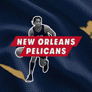 New Orleans Pelicans Image