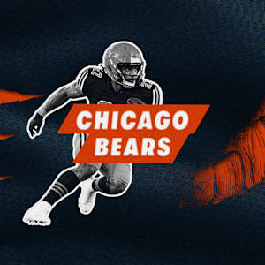 Chicago Bears Image