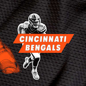 Cincinnati Bengals Image