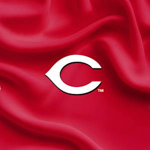 Cincinnati Reds Image
