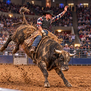 Dixie National Rodeo Parking Image