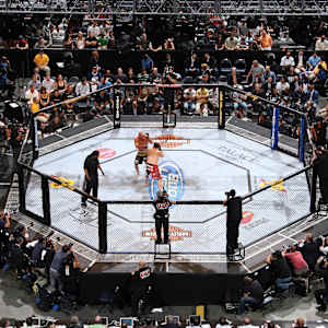 UFC - Ultimate Fighting Championship Image