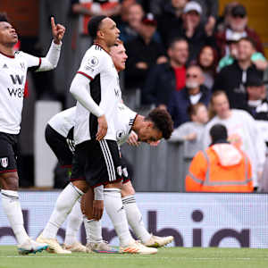 Fulham FC Image