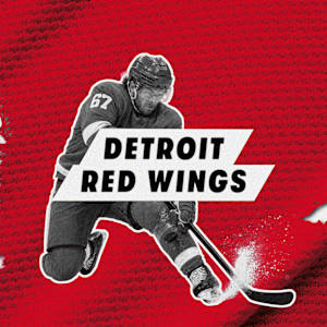 Detroit Red Wings Image