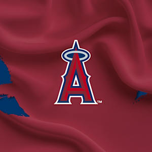 Los Angeles Angels Parking Image