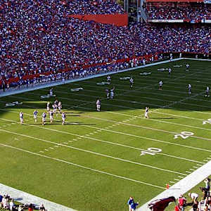 Florida Gators Football Image