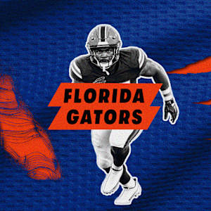 Florida Gators Football Image
