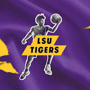 LSU Tigers Mens Basketball Parking Image