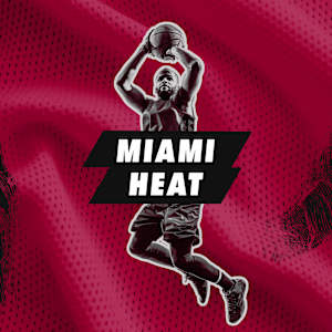 Miami Heat Image