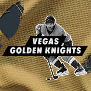Vegas Golden Knights Parking Image