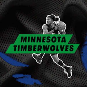 Minnesota Timberwolves Image