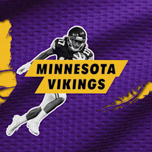 Minnesota Vikings Image