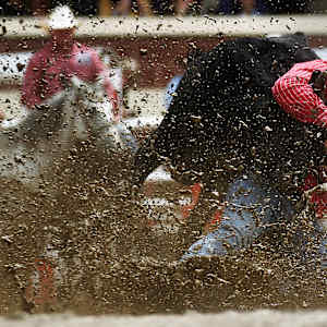 Calgary Stampede Rodeo Image