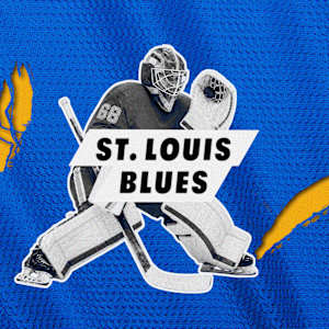 St. Louis Blues Parking Image
