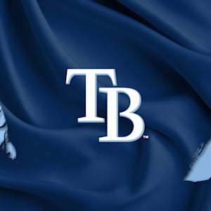 Tampa Bay Rays Image