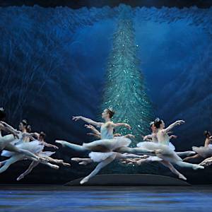 The Nutcracker Image