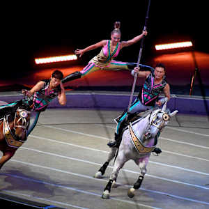 Ringling Bros B&B Circus Parking Image