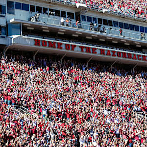 Arkansas Razorbacks Football Image