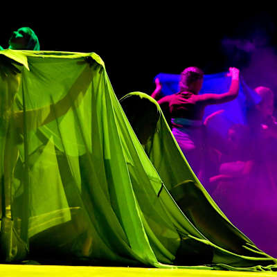 Moonlight and Magnolias