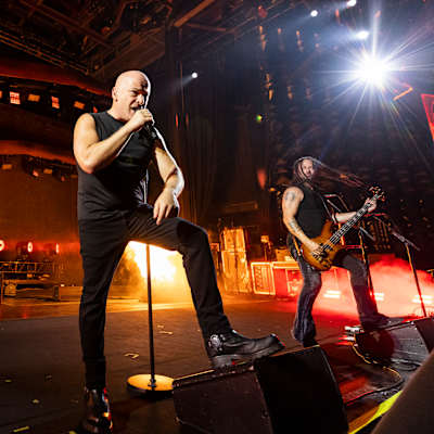 Disturbed