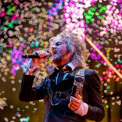 The Flaming Lips