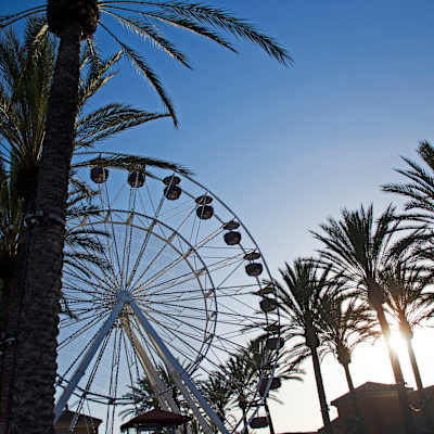 Coachella Music Festival