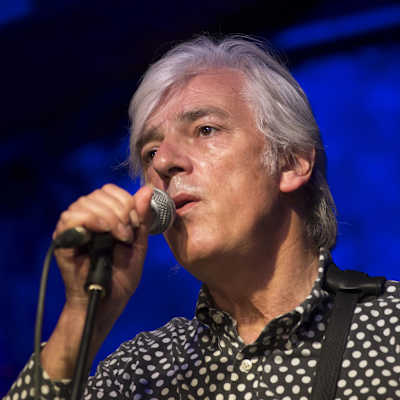 Robyn Hitchcock