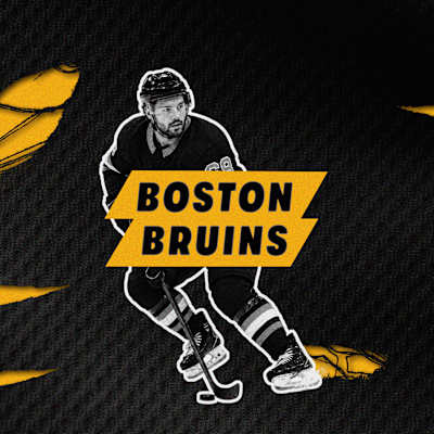 Boston Bruins