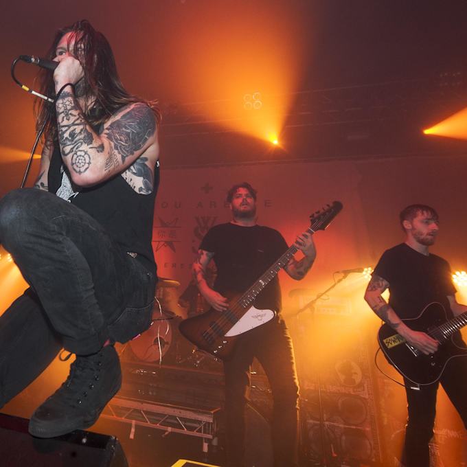 While She Sleeps