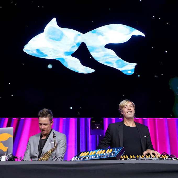Goldfish