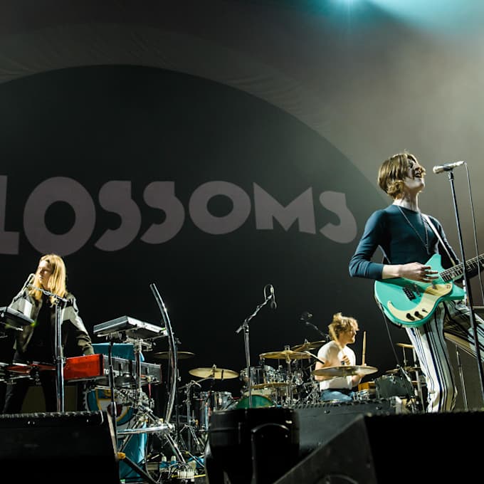 Blossoms
