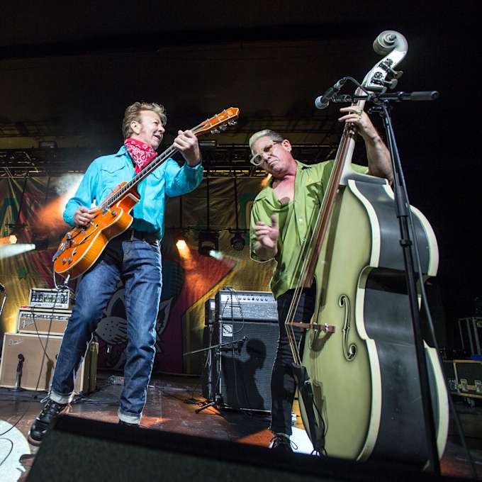 Stray Cats