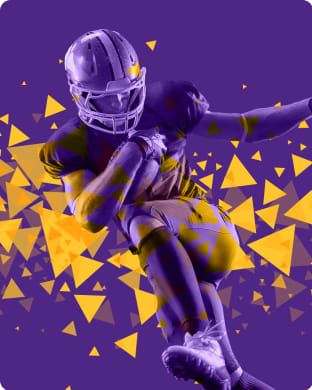 Vikings Tickets  Minnesota Vikings 