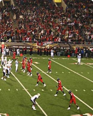 vivid seats arizona cardinals