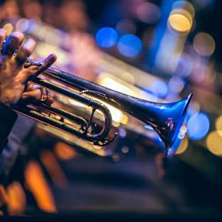 Color of Noize Orchestra Image