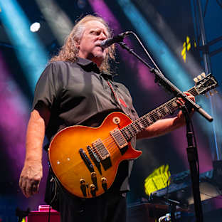 Govt Mule Image